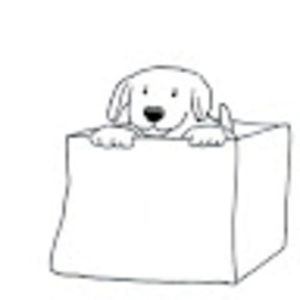 Meet your Posher, Phyllis